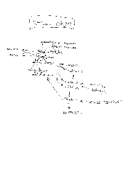 Imagine de profil Cococi